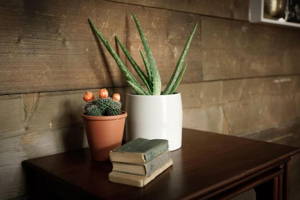 Lower Godney Little House Wells Bagian luar foto